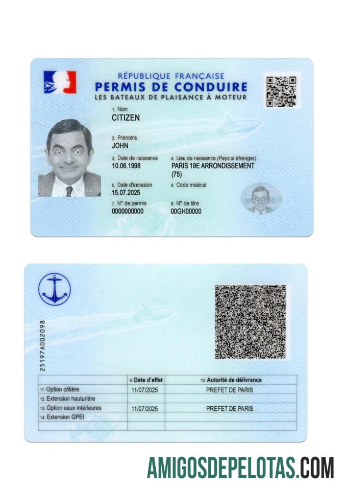 Carta de condução francesa 2025 presente exemplo real